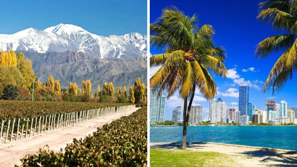 Ropa de Miami en Mendoza: ¿por qué elegir Punto Lujo?